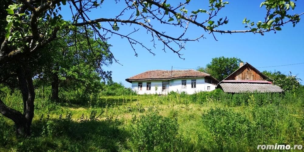 Teren de vanzare -Padureni jud.Vaslui