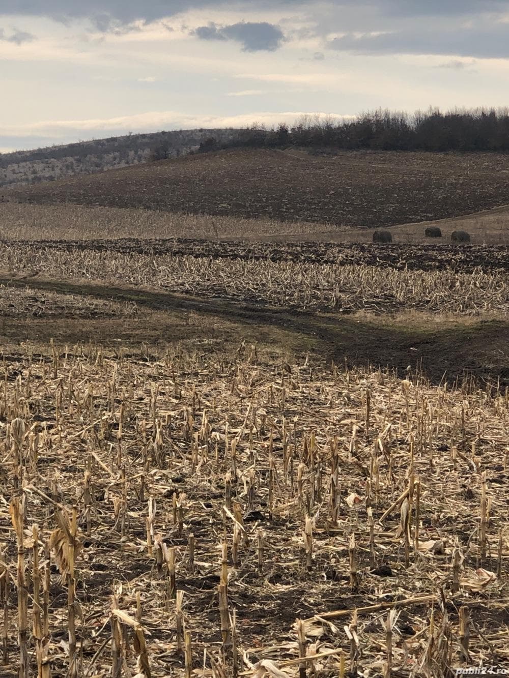 Vand teren in sat Babutiu