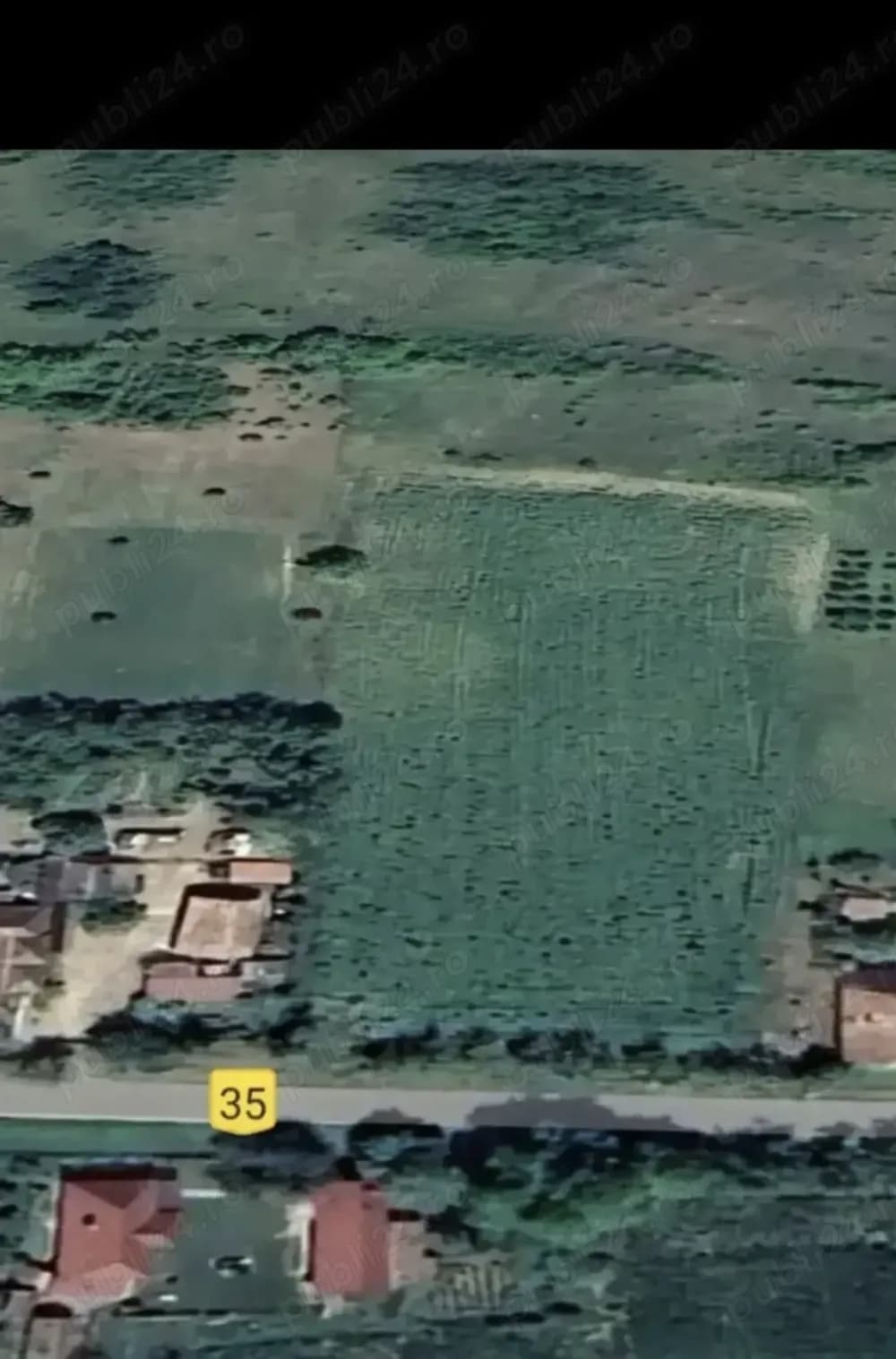 Vind teren en Sintioana