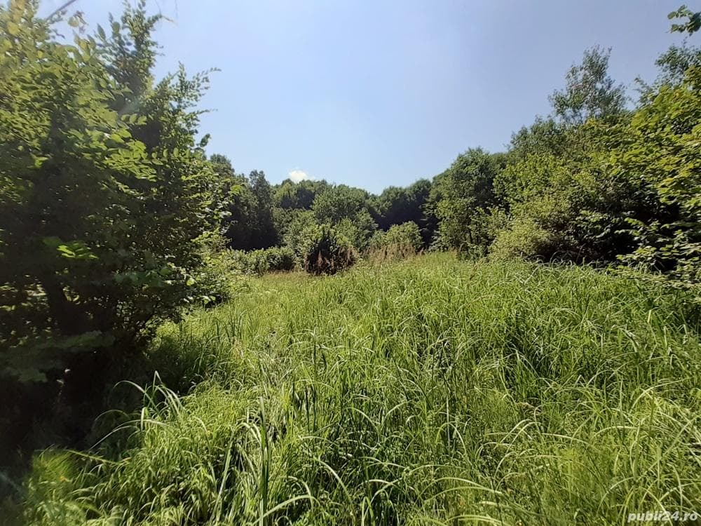 Teren extravilan 2600 mp in Feleacu - imagine 1