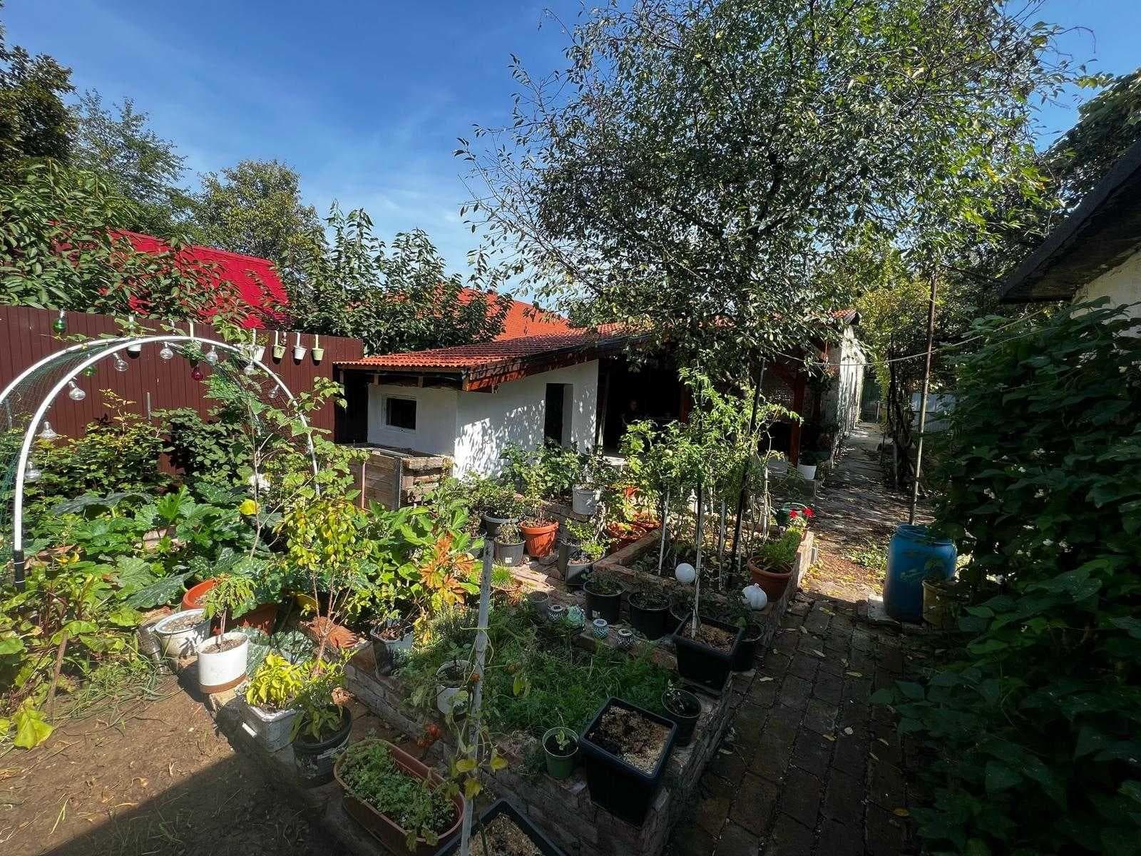 Casă în curs de construcție singură în curte