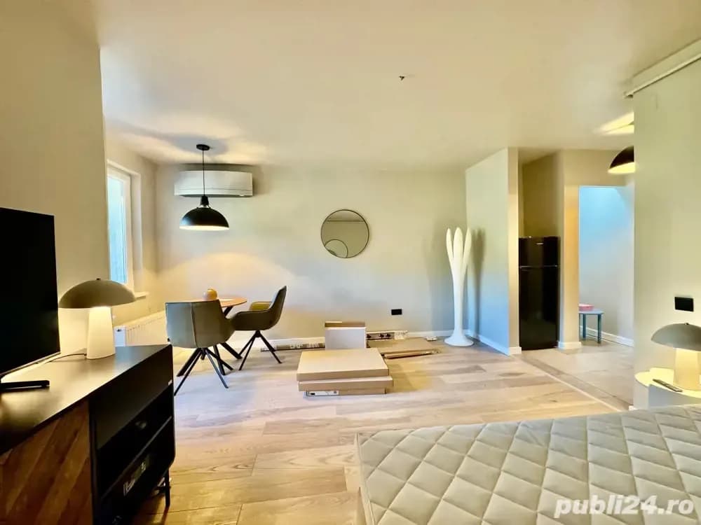 Apartament 1 camera Cornisa UMFST - imagine 1