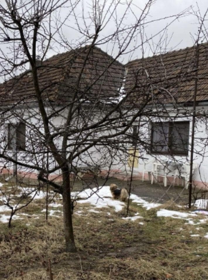 Proprietar vand casa individuala Craiter-Brasov