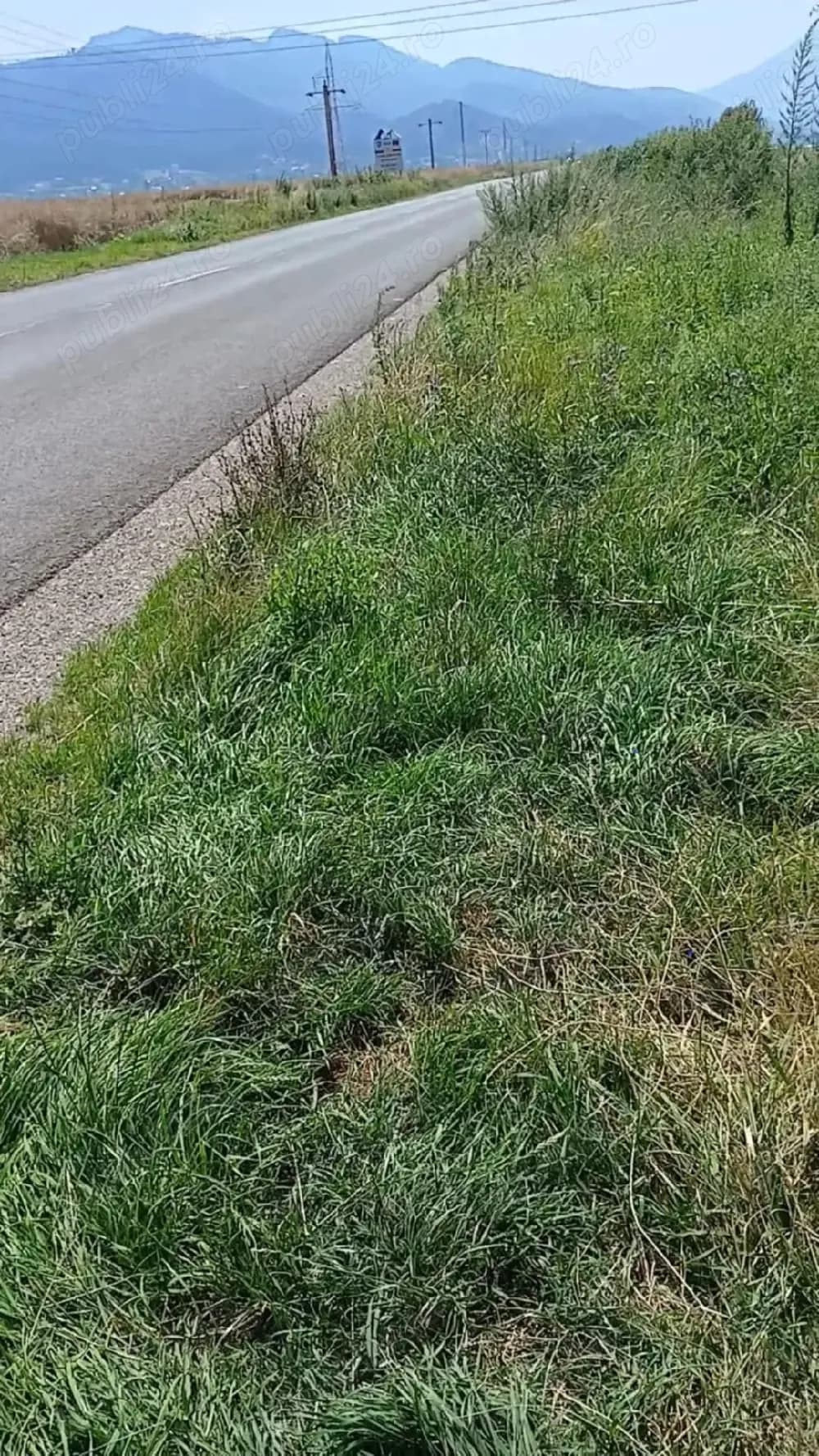 Teren extravilan intre Sacele si Tarlungeni