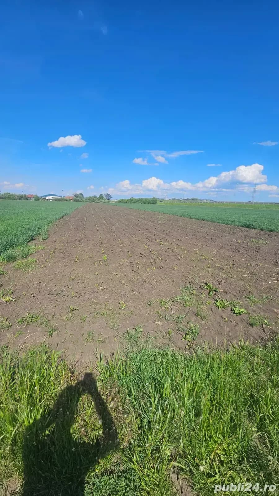 vând teren intravilan