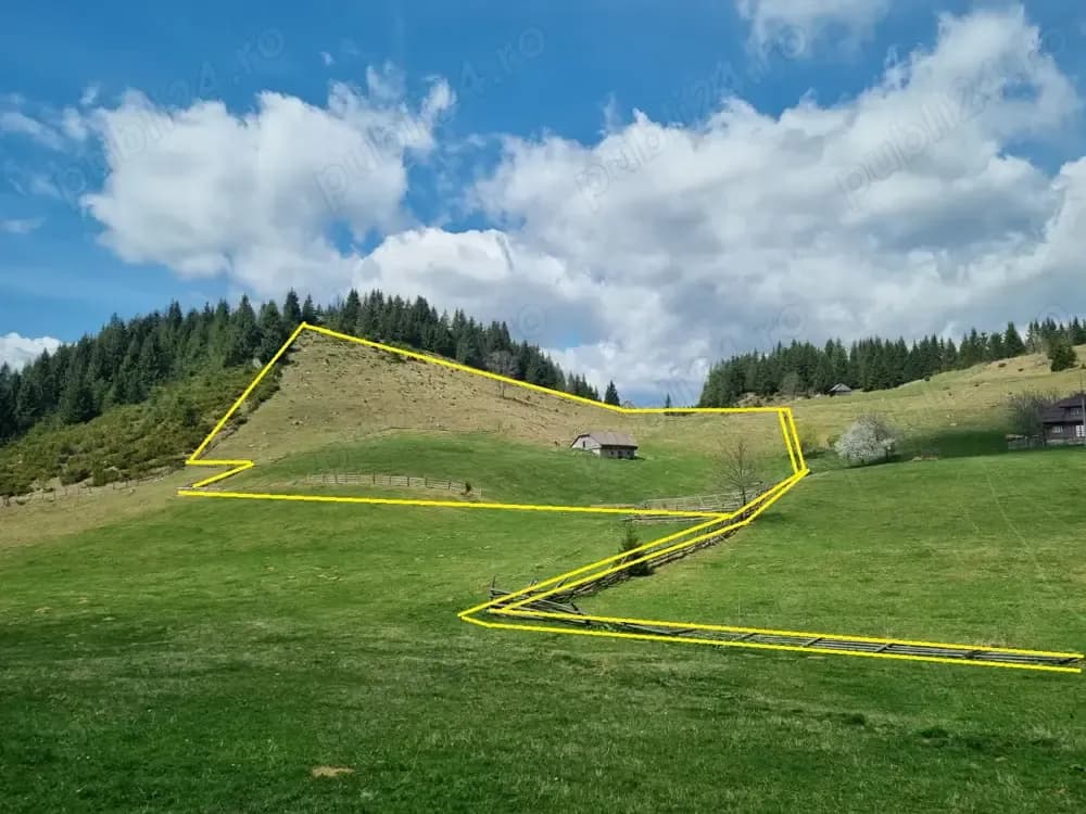 Teren vânzare Fundata