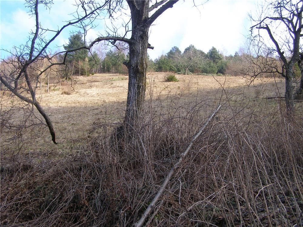 Teren  intravilan in Brasov , zona Schei