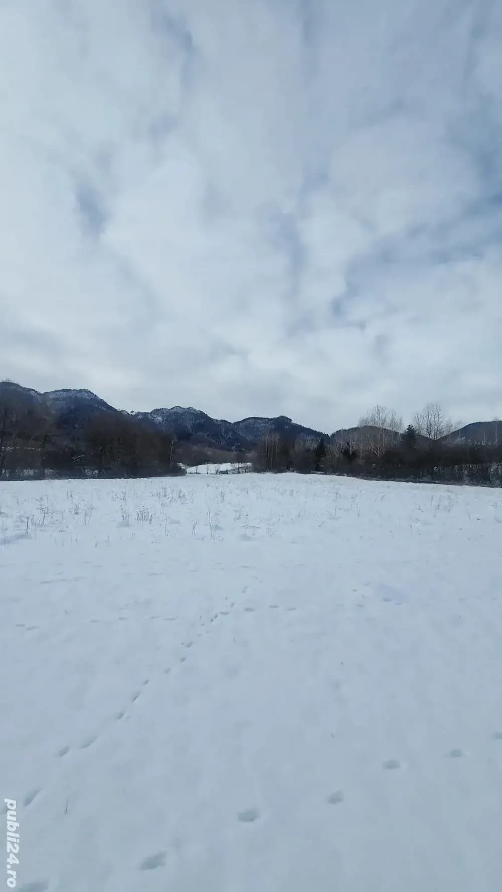 Teren Tohanita intravilan construibil