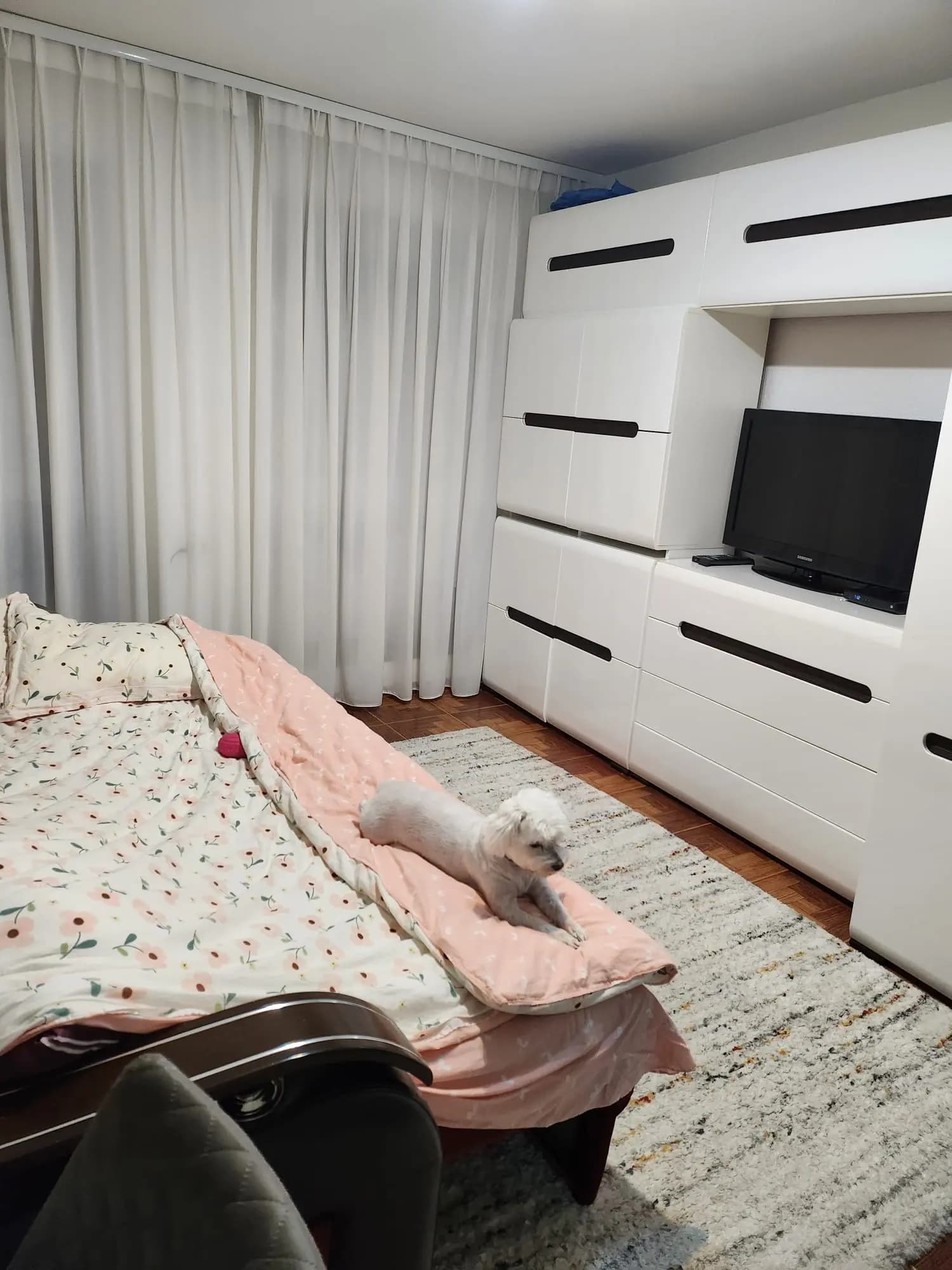 Chirie Pta.M.Viteazu - imagine 1