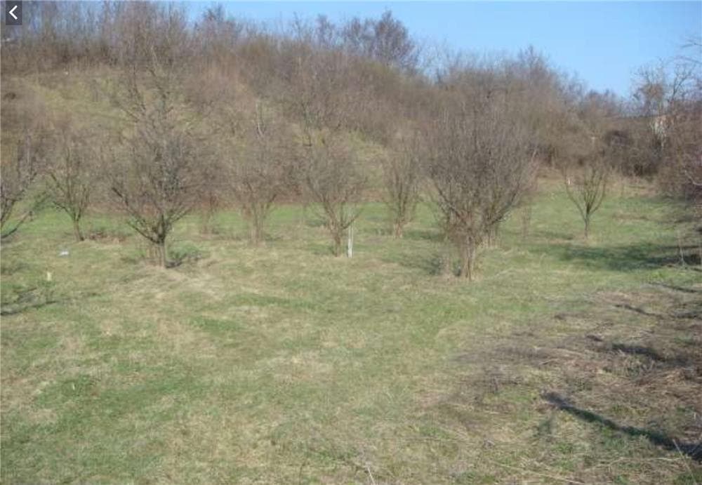 Teren intravilan Dumbravesti PH 2600 m.p. - imagine 1