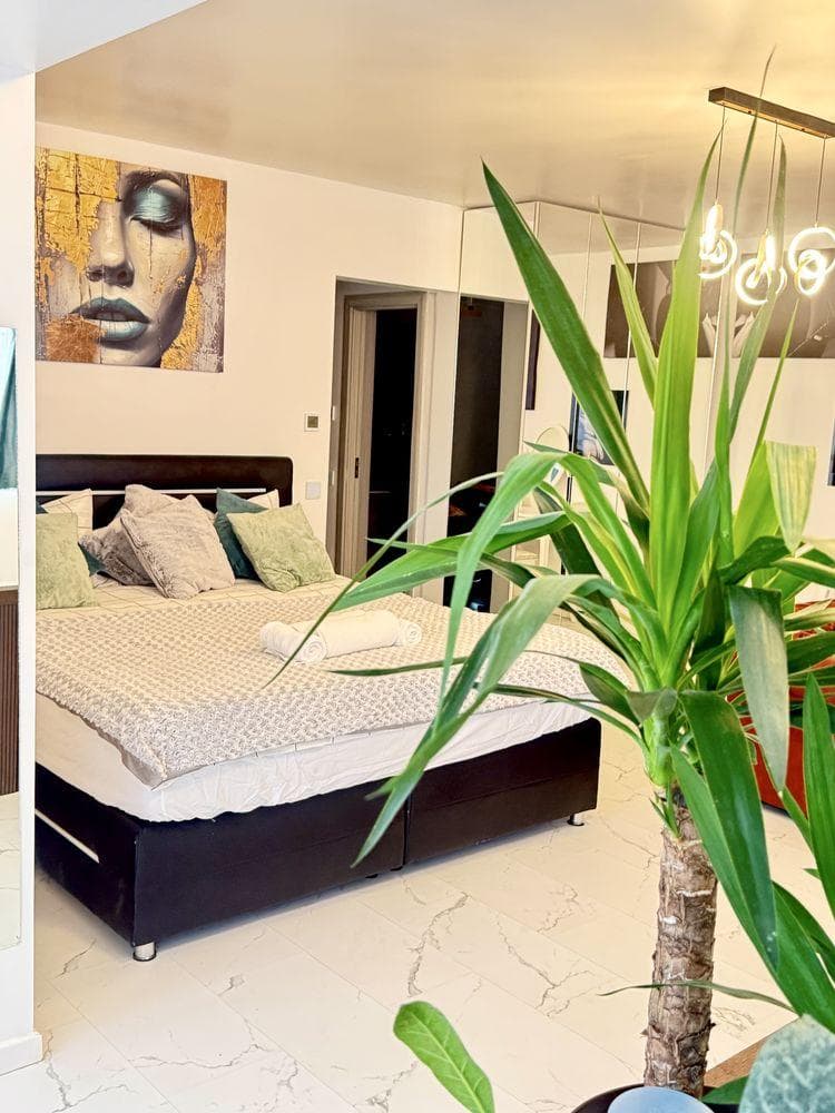 Apartament - business in regim hotelier - Iulius Mall - imagine 1