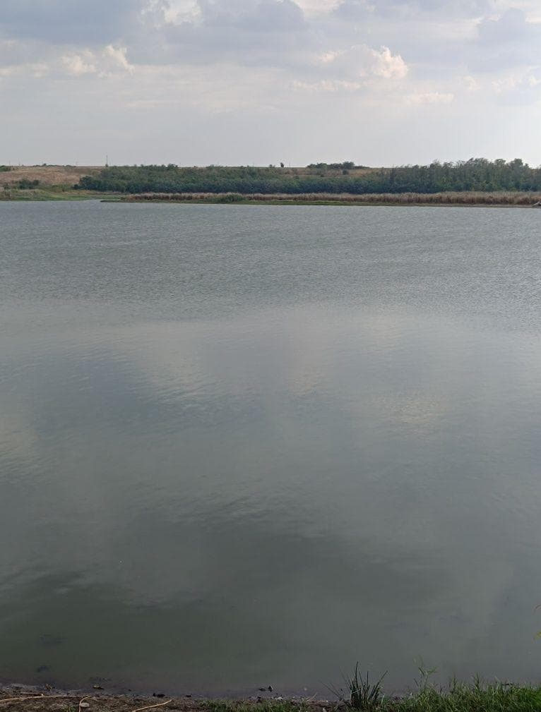 Balta de peste 10 hectare – județul Călărași – la 1 oră de București - imagine 1