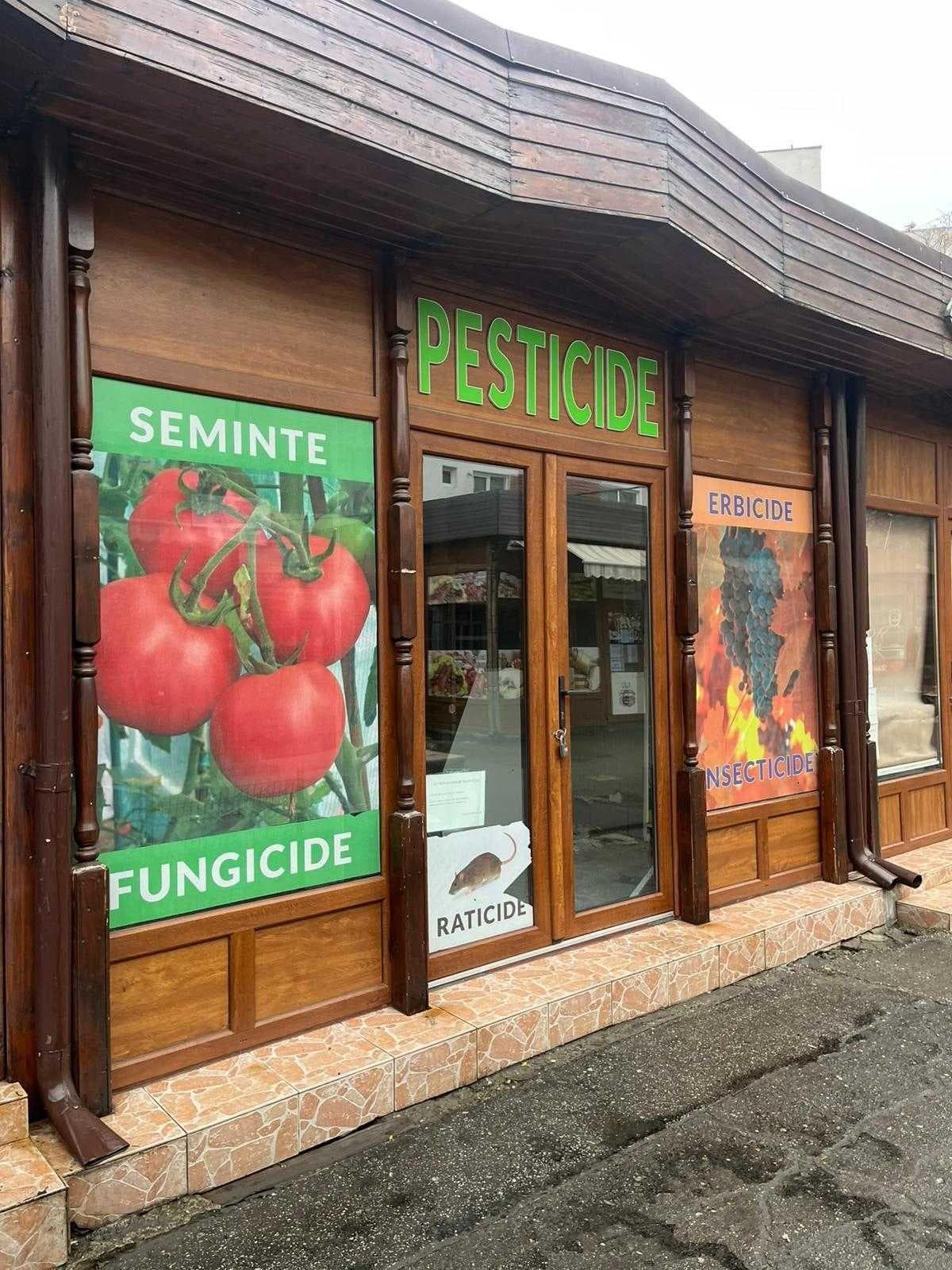 Spatiu comercial, Vad bun - Piata Centrala