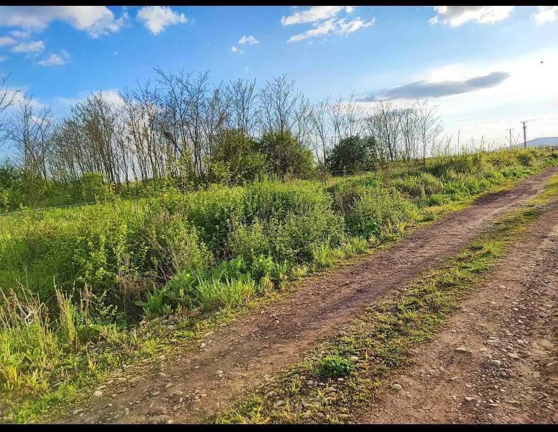 Locuri de casa Mini paradis - imagine 1