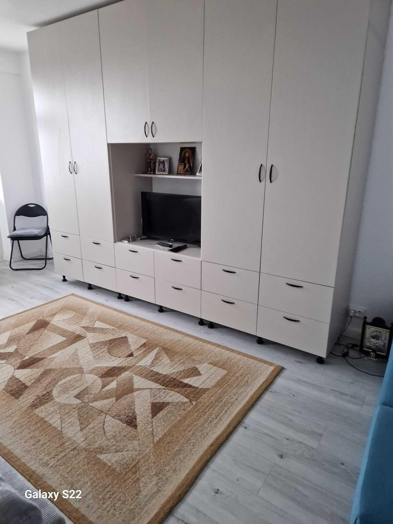 Comision 0! Studio modern-Vedere panoramica la lac-Lacul Plumbuita